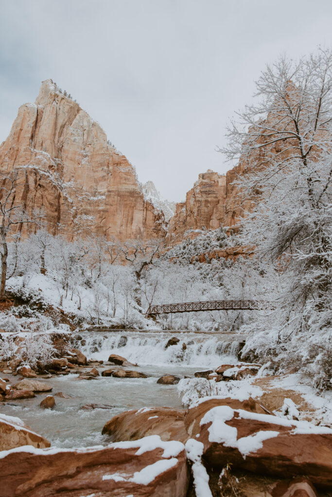 Fabiana and David, Zion National Park Proposal - Southern Utah Photographer, Emily Dawn Photo