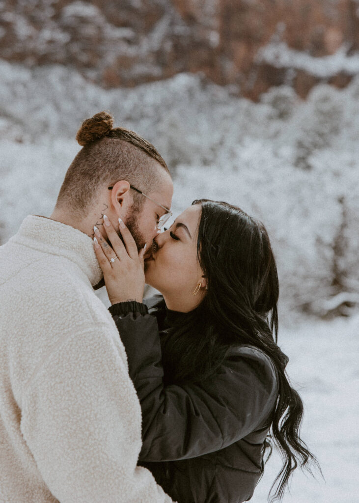 Fabiana and David, Zion National Park Proposal - Southern Utah Photographer, Emily Dawn Photo