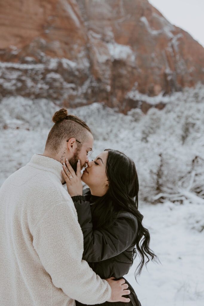 Fabiana and David, Zion National Park Proposal - Southern Utah Photographer, Emily Dawn Photo