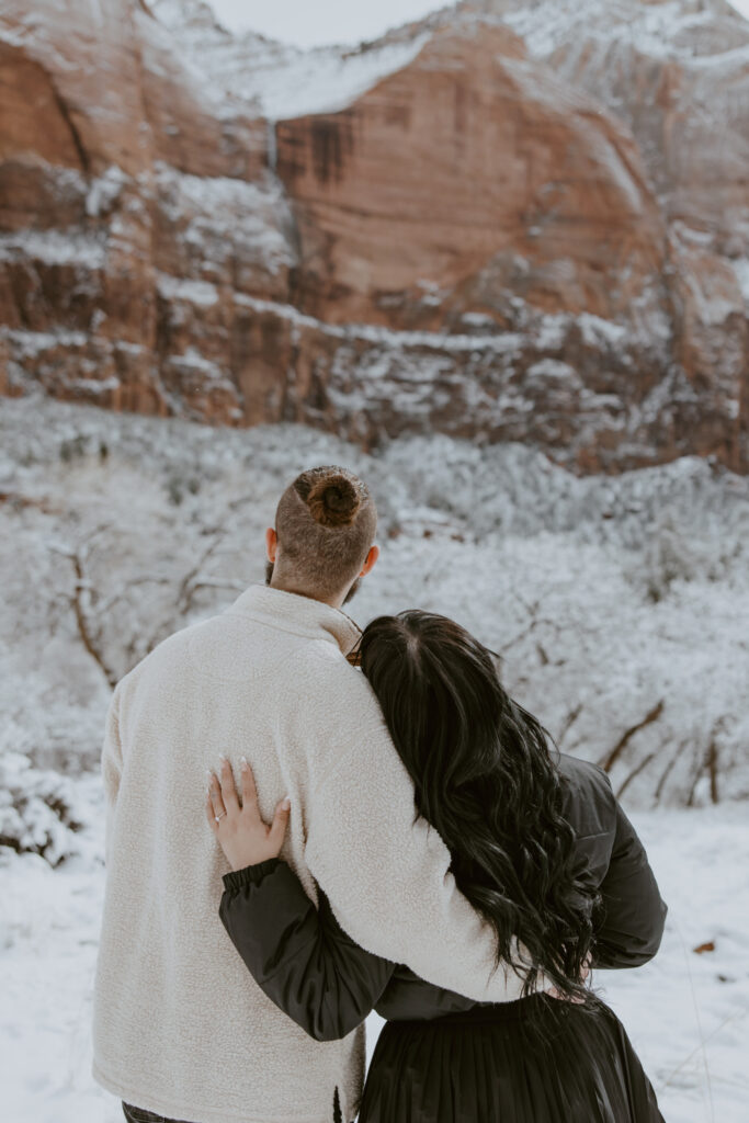 Fabiana and David, Zion National Park Proposal - Southern Utah Photographer, Emily Dawn Photo