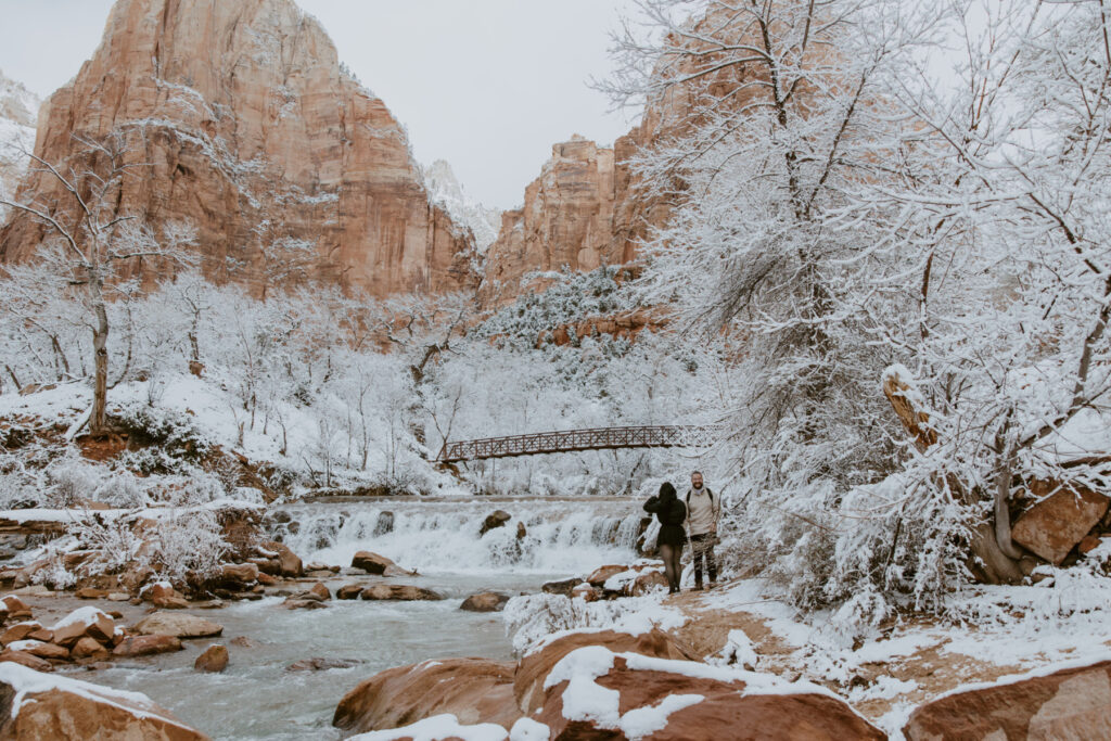 Fabiana and David, Zion National Park Proposal - Southern Utah Photographer, Emily Dawn Photo