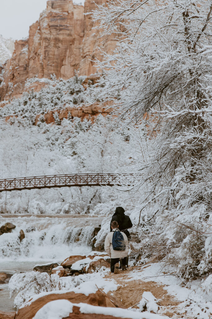 Fabiana and David, Zion National Park Proposal - Southern Utah Photographer, Emily Dawn Photo