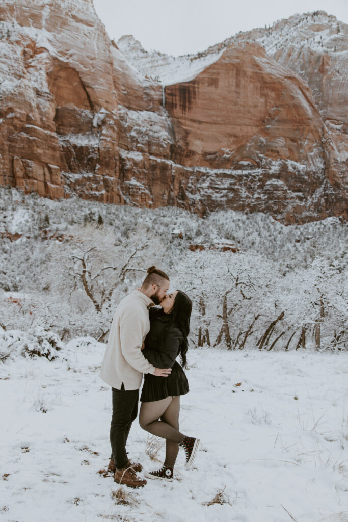 Fabiana and David, Zion National Park Proposal - Southern Utah Photographer, Emily Dawn Photo