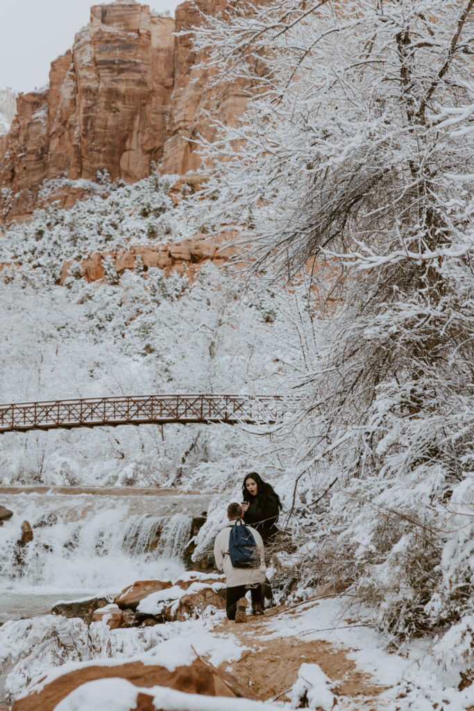 Fabiana and David, Zion National Park Proposal - Southern Utah Photographer, Emily Dawn Photo