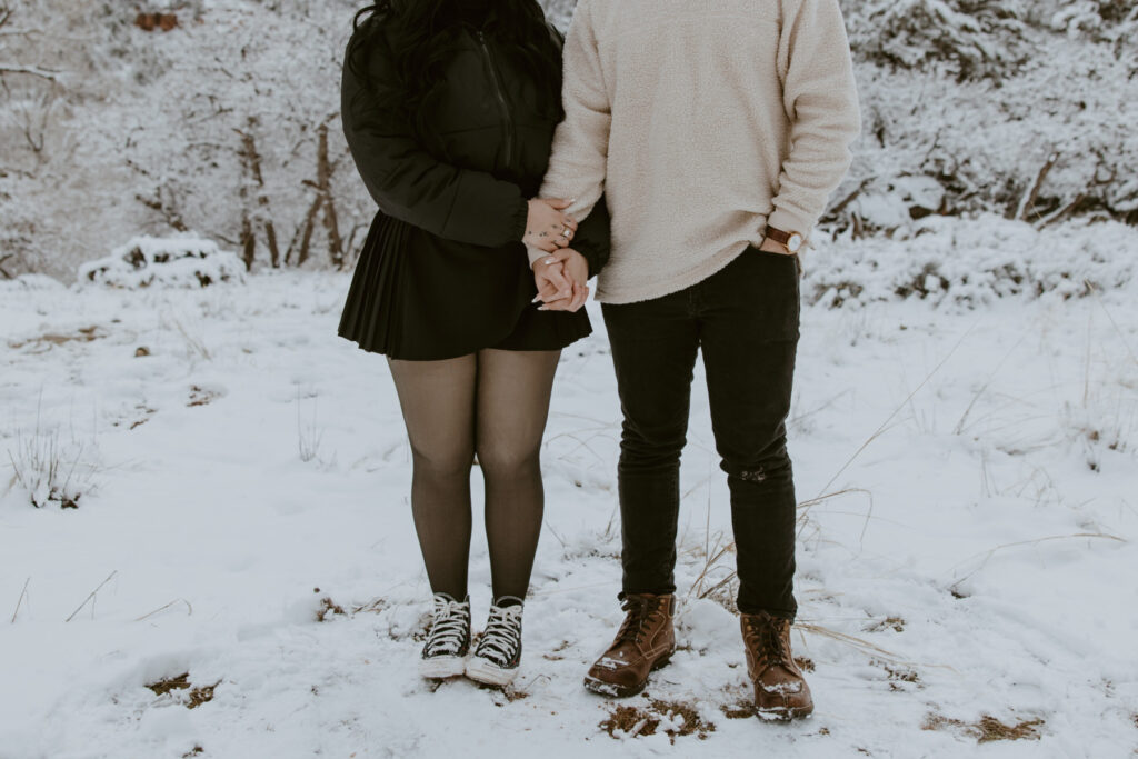 Fabiana and David, Zion National Park Proposal - Southern Utah Photographer, Emily Dawn Photo