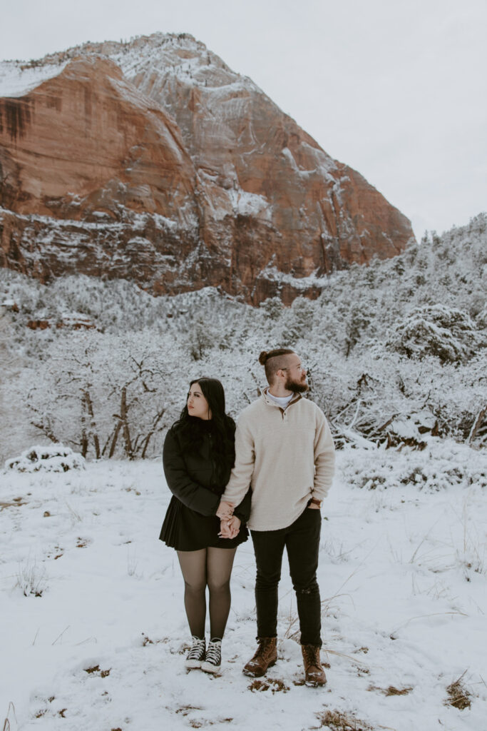 Fabiana and David, Zion National Park Proposal - Southern Utah Photographer, Emily Dawn Photo