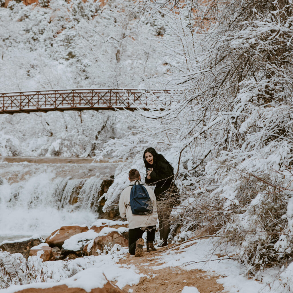 Fabiana and David, Zion National Park Proposal - Southern Utah Photographer, Emily Dawn Photo