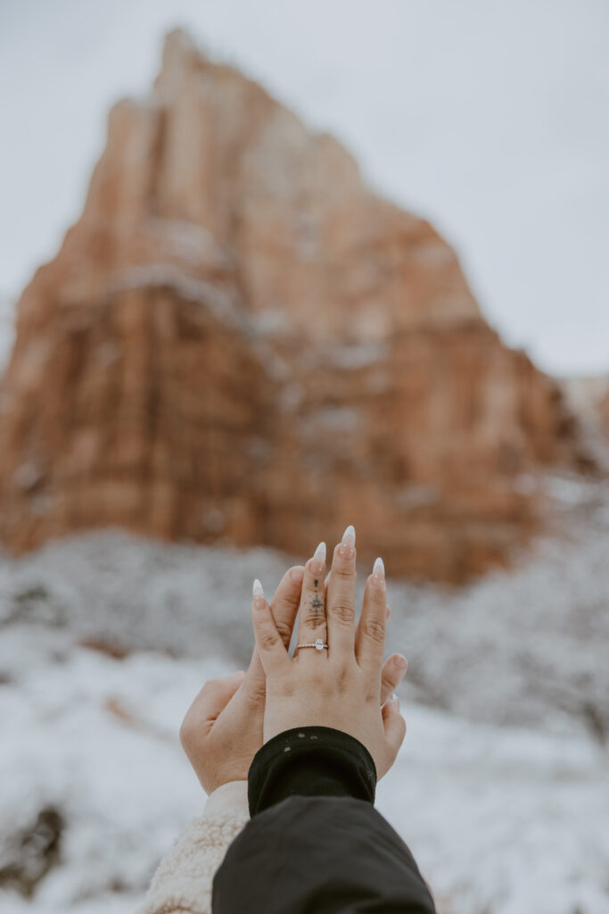 Fabiana and David, Zion National Park Proposal - Southern Utah Photographer, Emily Dawn Photo