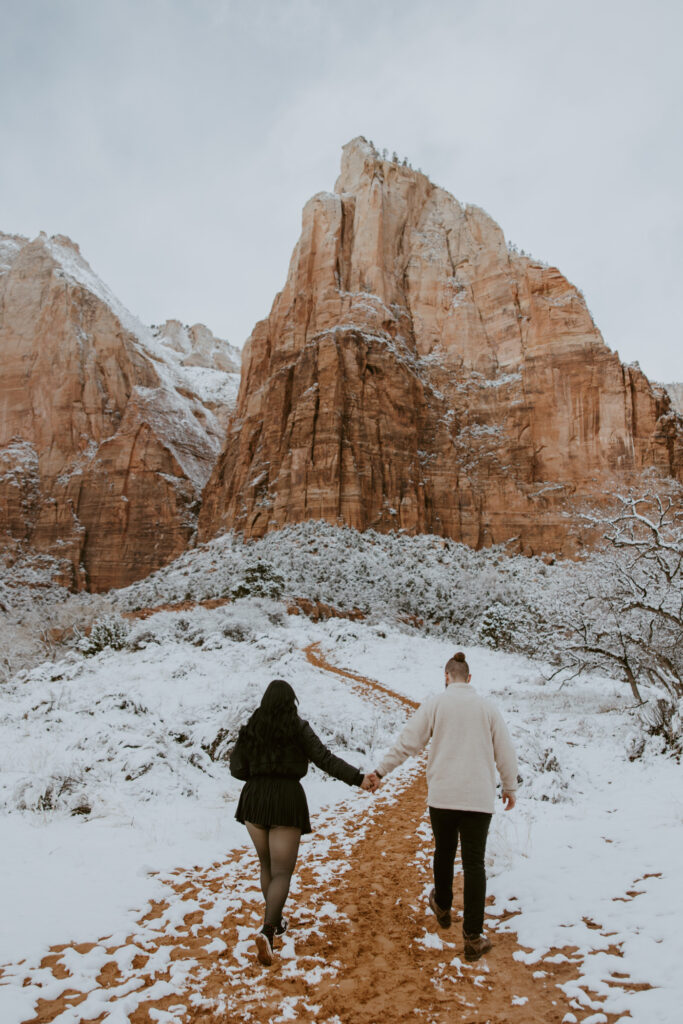 Fabiana and David, Zion National Park Proposal - Southern Utah Photographer, Emily Dawn Photo