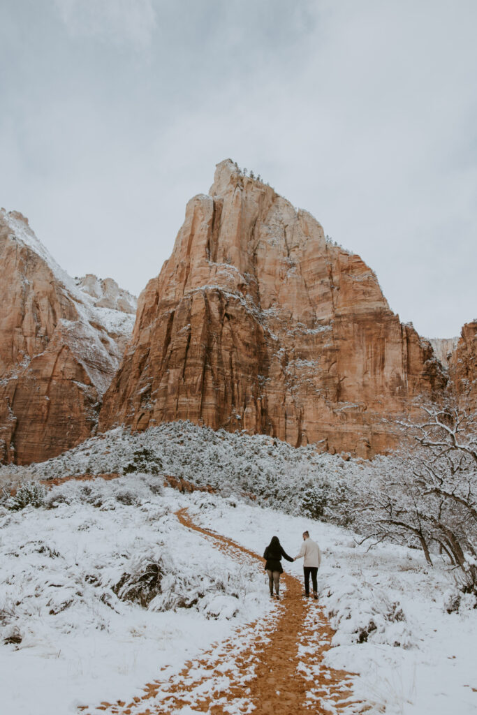 Fabiana and David, Zion National Park Proposal - Southern Utah Photographer, Emily Dawn Photo