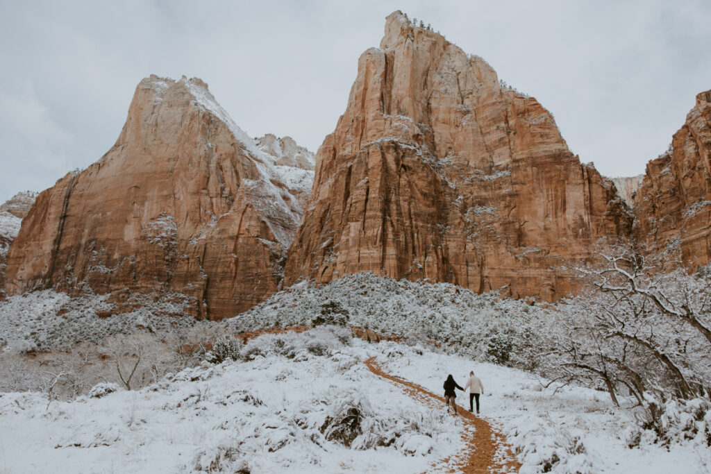 Fabiana and David, Zion National Park Proposal - Southern Utah Photographer, Emily Dawn Photo