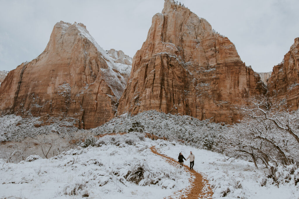 Fabiana and David, Zion National Park Proposal - Southern Utah Photographer, Emily Dawn Photo