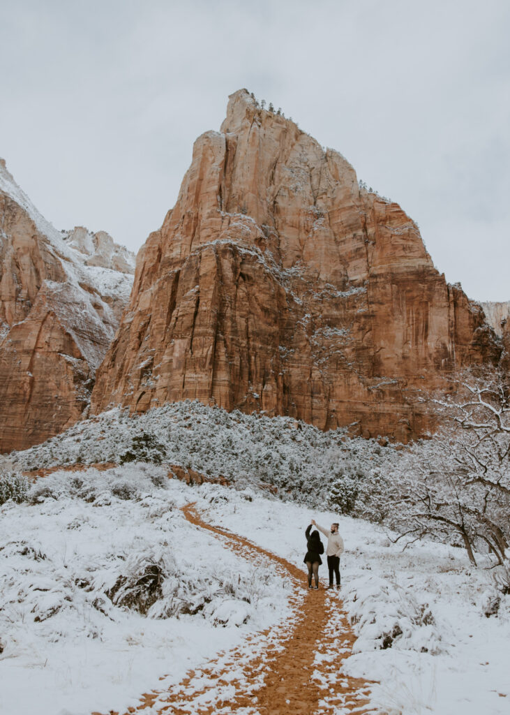 Fabiana and David, Zion National Park Proposal - Southern Utah Photographer, Emily Dawn Photo