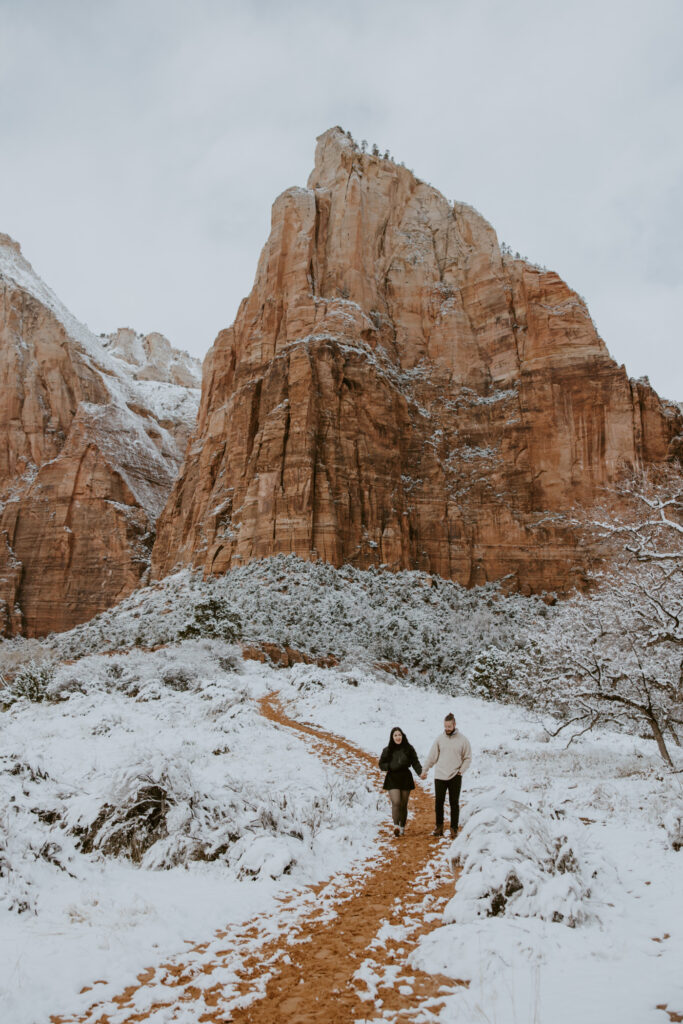 Fabiana and David, Zion National Park Proposal - Southern Utah Photographer, Emily Dawn Photo