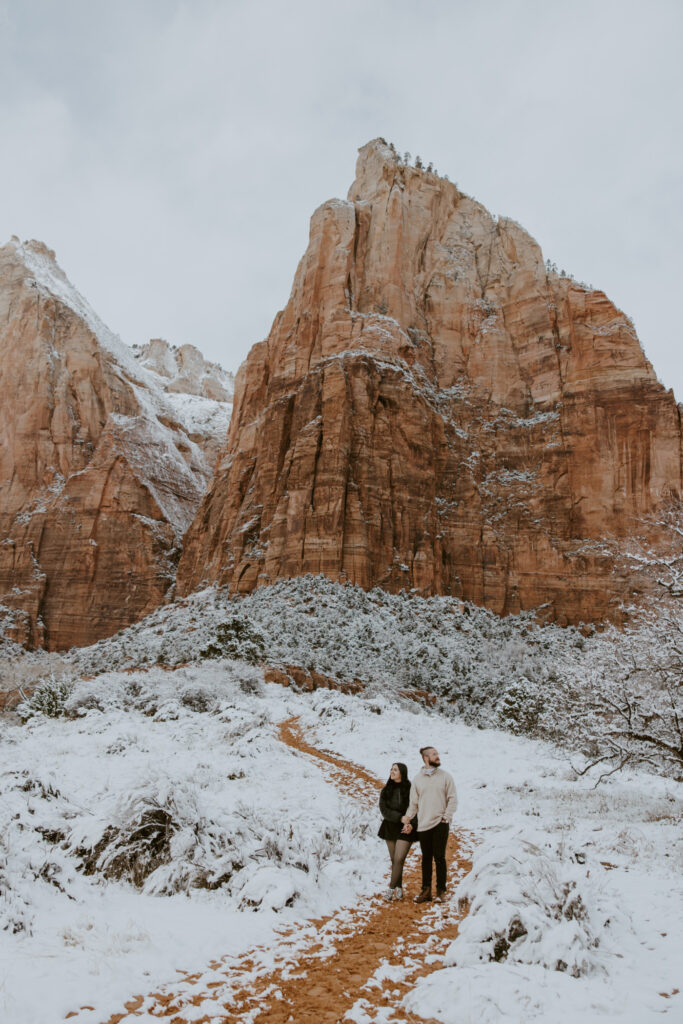 Fabiana and David, Zion National Park Proposal - Southern Utah Photographer, Emily Dawn Photo