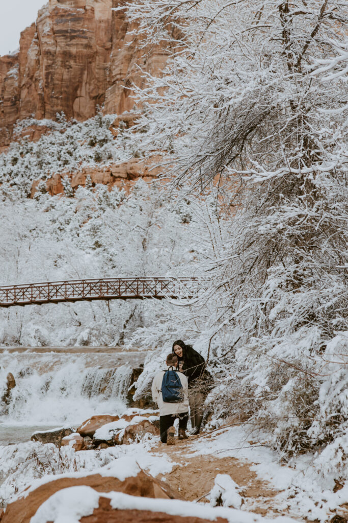 Fabiana and David, Zion National Park Proposal - Southern Utah Photographer, Emily Dawn Photo