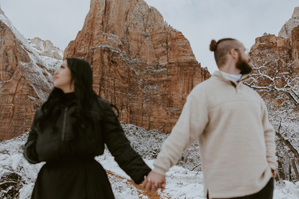 Fabiana and David, Zion National Park Proposal - Southern Utah Photographer, Emily Dawn Photo