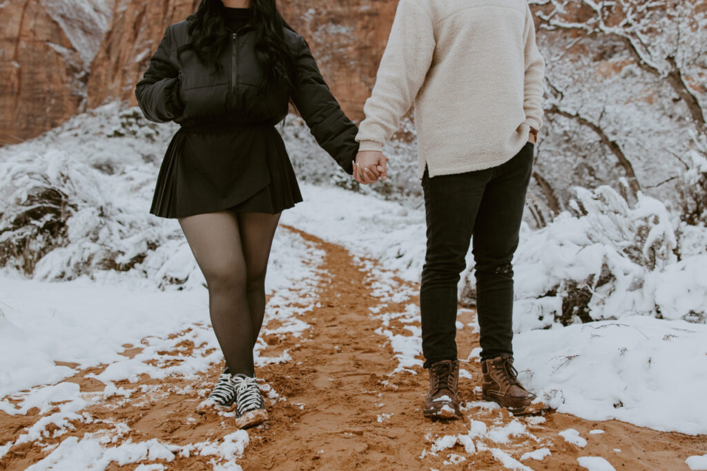 Fabiana and David, Zion National Park Proposal - Southern Utah Photographer, Emily Dawn Photo