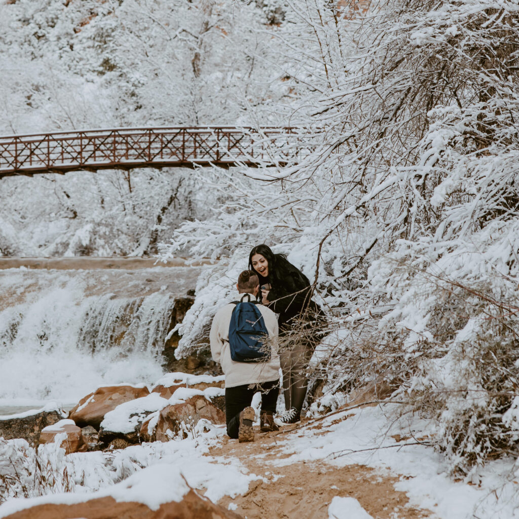 Fabiana and David, Zion National Park Proposal - Southern Utah Photographer, Emily Dawn Photo