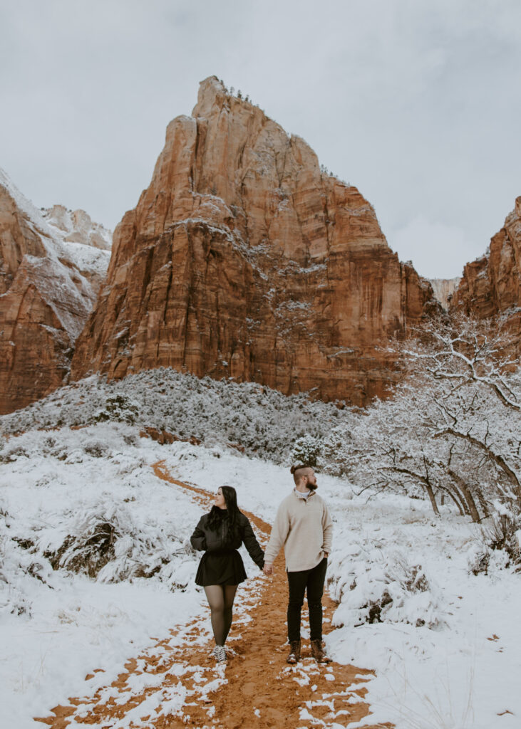 Fabiana and David, Zion National Park Proposal - Southern Utah Photographer, Emily Dawn Photo