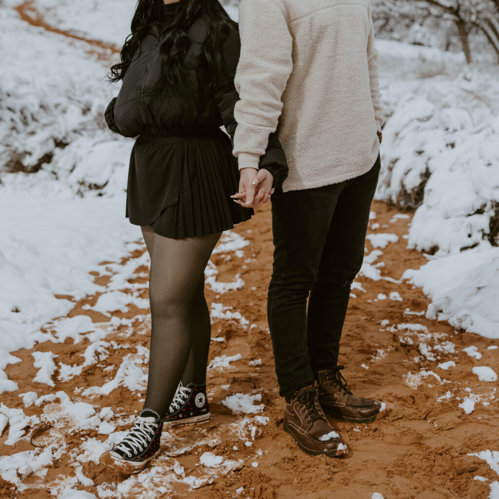 Fabiana and David, Zion National Park Proposal - Southern Utah Photographer, Emily Dawn Photo