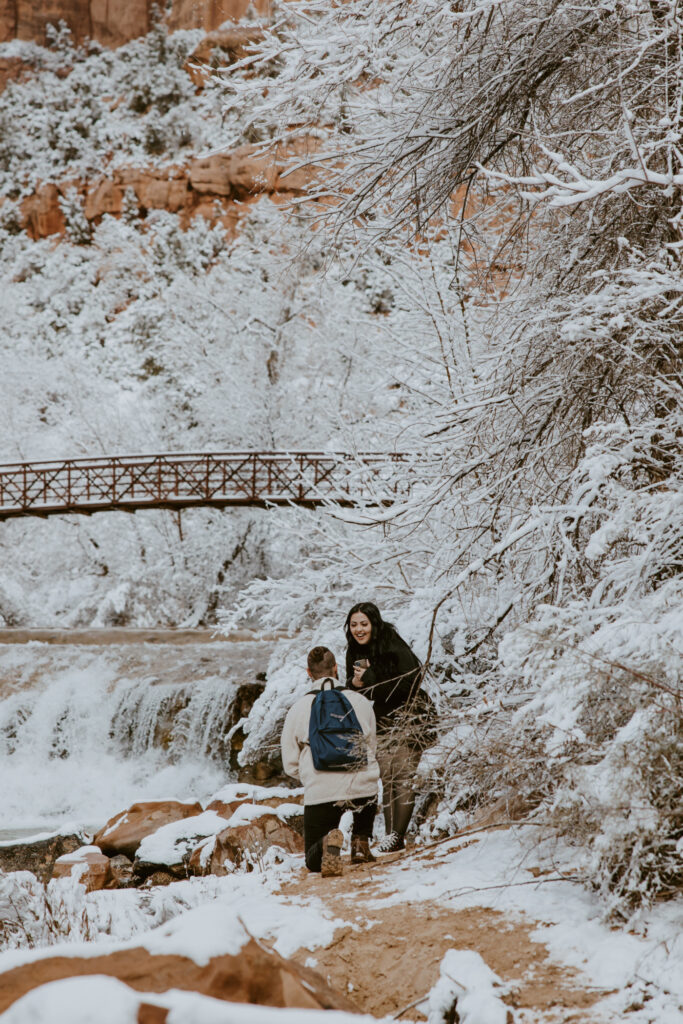 Fabiana and David, Zion National Park Proposal - Southern Utah Photographer, Emily Dawn Photo