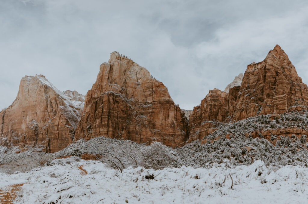 Fabiana and David, Zion National Park Proposal - Southern Utah Photographer, Emily Dawn Photo