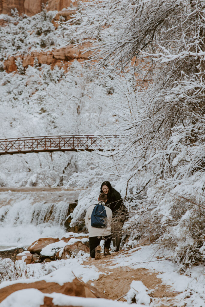 Fabiana and David, Zion National Park Proposal - Southern Utah Photographer, Emily Dawn Photo