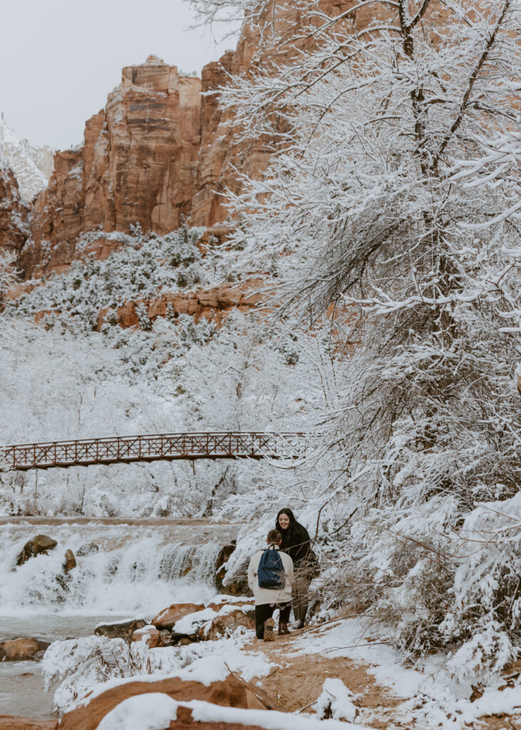 Fabiana and David, Zion National Park Proposal - Southern Utah Photographer, Emily Dawn Photo