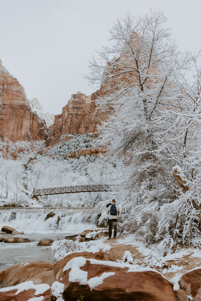 Fabiana and David, Zion National Park Proposal - Southern Utah Photographer, Emily Dawn Photo