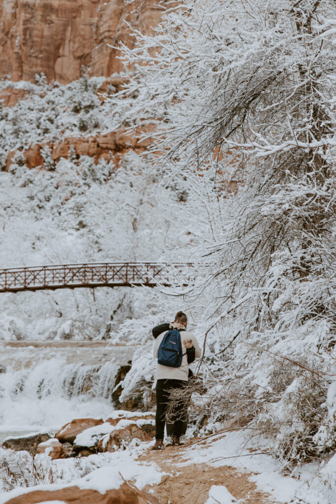 Fabiana and David, Zion National Park Proposal - Southern Utah Photographer, Emily Dawn Photo