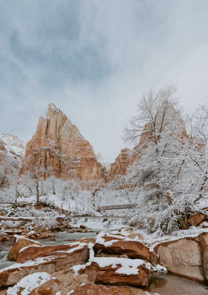 Fabiana and David, Zion National Park Proposal - Southern Utah Photographer, Emily Dawn Photo