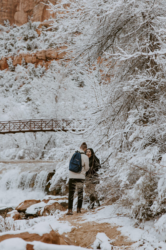 Fabiana and David, Zion National Park Proposal - Southern Utah Photographer, Emily Dawn Photo