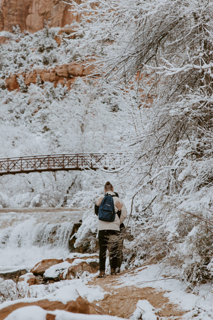 Fabiana and David, Zion National Park Proposal - Southern Utah Photographer, Emily Dawn Photo