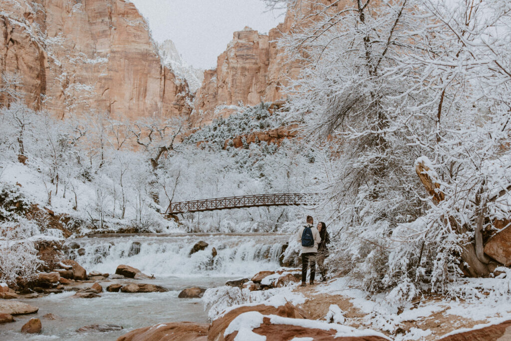 Fabiana and David, Zion National Park Proposal - Southern Utah Photographer, Emily Dawn Photo