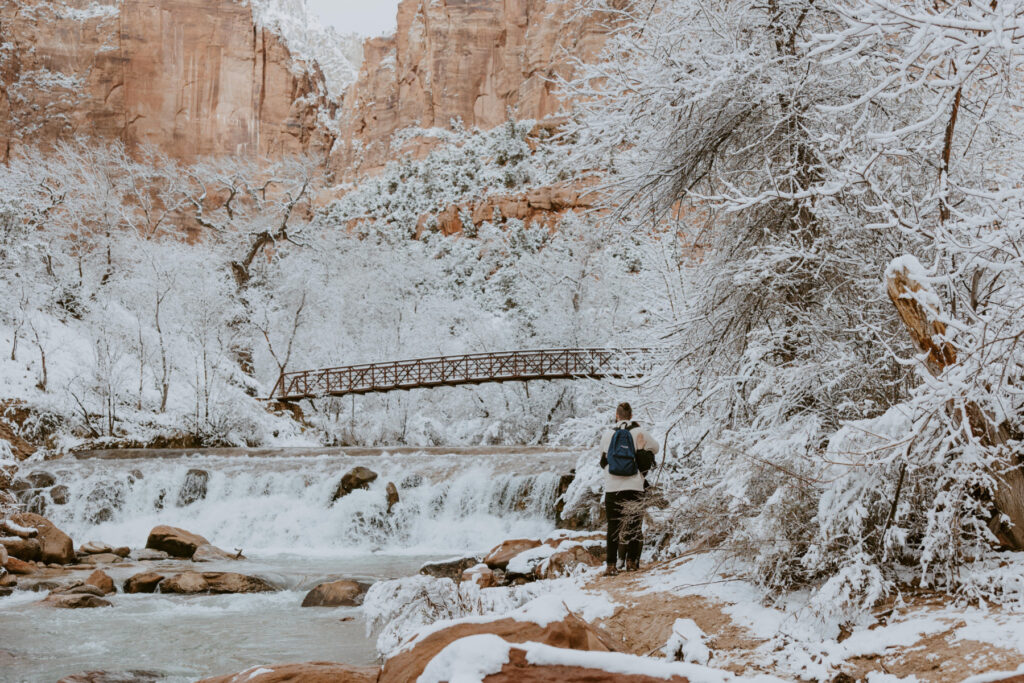 Fabiana and David, Zion National Park Proposal - Southern Utah Photographer, Emily Dawn Photo