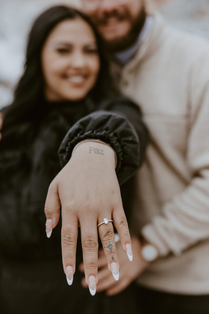 Fabiana and David, Zion National Park Proposal - Southern Utah Photographer, Emily Dawn Photo