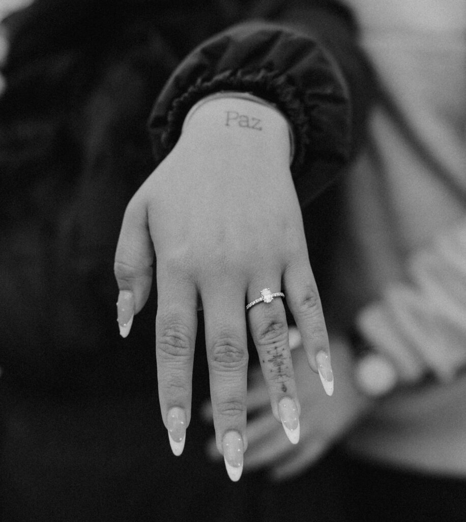 Fabiana and David, Zion National Park Proposal - Southern Utah Photographer, Emily Dawn Photo