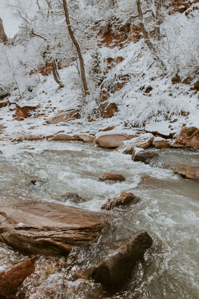 Fabiana and David, Zion National Park Proposal - Southern Utah Photographer, Emily Dawn Photo