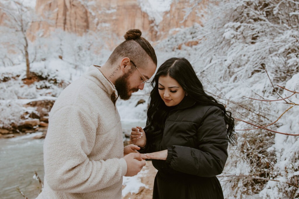 Fabiana and David, Zion National Park Proposal - Southern Utah Photographer, Emily Dawn Photo