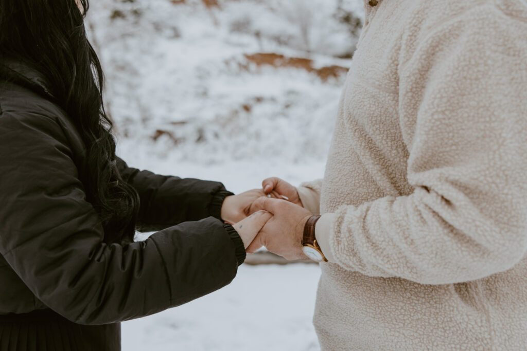 Fabiana and David, Zion National Park Proposal - Southern Utah Photographer, Emily Dawn Photo