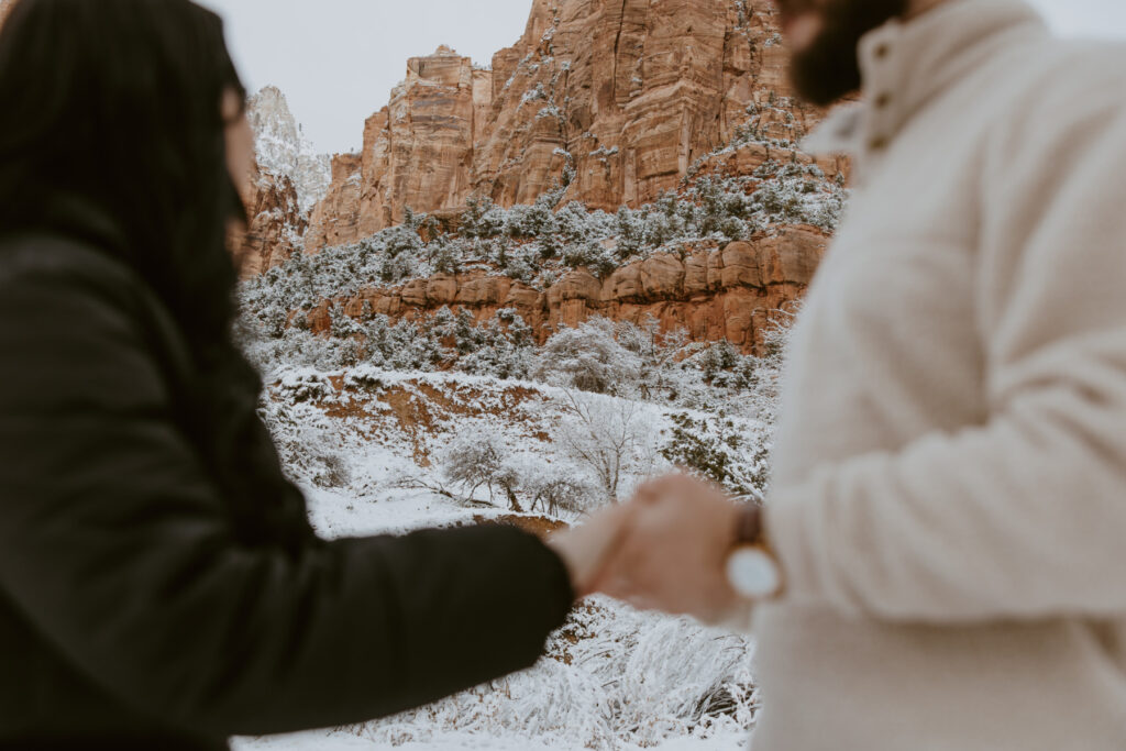 Fabiana and David, Zion National Park Proposal - Southern Utah Photographer, Emily Dawn Photo