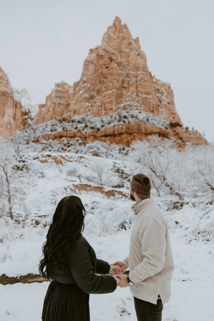 Fabiana and David, Zion National Park Proposal - Southern Utah Photographer, Emily Dawn Photo