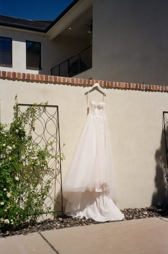 Katelyn and Paxton | Zion National Park Elopement | Springdale, Utah | Emily Dawn Photo | Southern Utah Wedding and Elopement Photographer