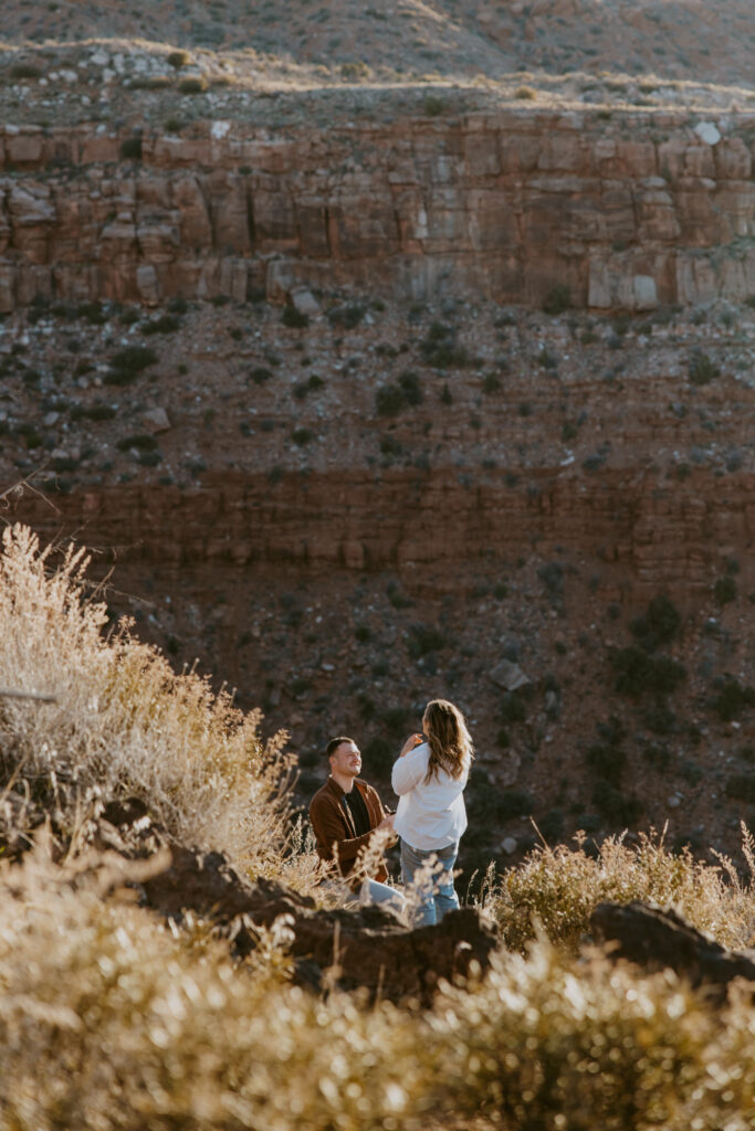 Eric and Diana | Zion National Park Proposal | Southern Utah Wedding and Elopement Photographer, Emily Dawn Photo