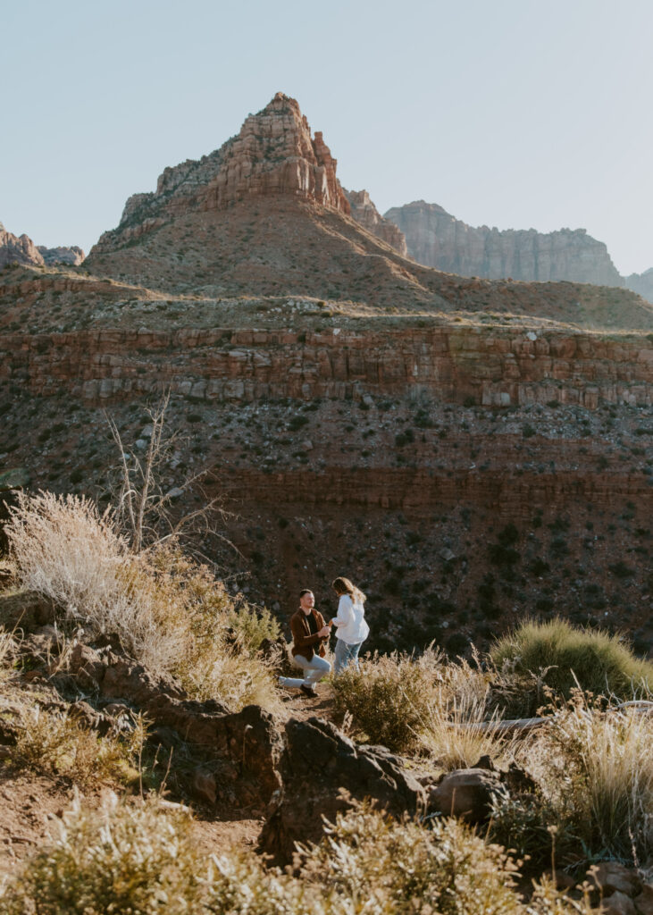 Eric and Diana | Zion National Park Proposal | Southern Utah Wedding and Elopement Photographer, Emily Dawn Photo