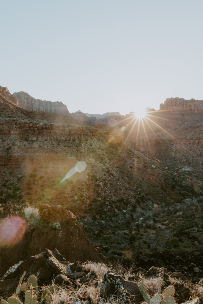 Eric and Diana | Zion National Park Proposal | Southern Utah Wedding and Elopement Photographer, Emily Dawn Photo