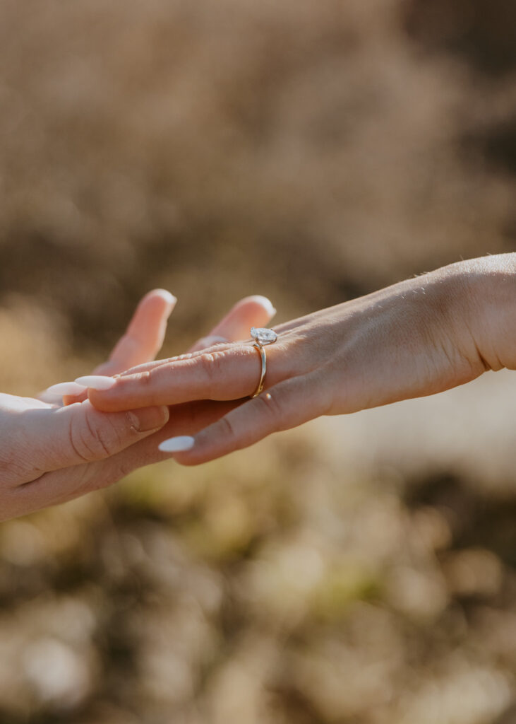 Eric and Diana | Zion National Park Proposal | Southern Utah Wedding and Elopement Photographer, Emily Dawn Photo