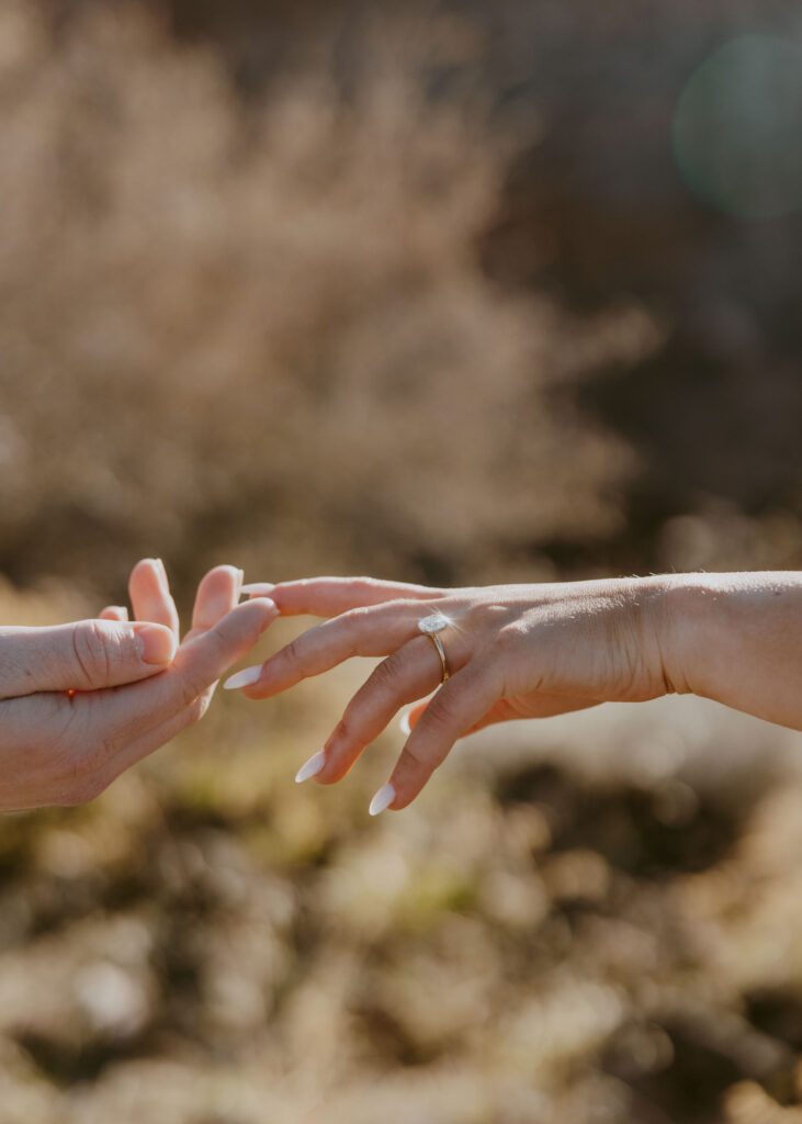 Eric and Diana | Zion National Park Proposal | Southern Utah Wedding and Elopement Photographer, Emily Dawn Photo