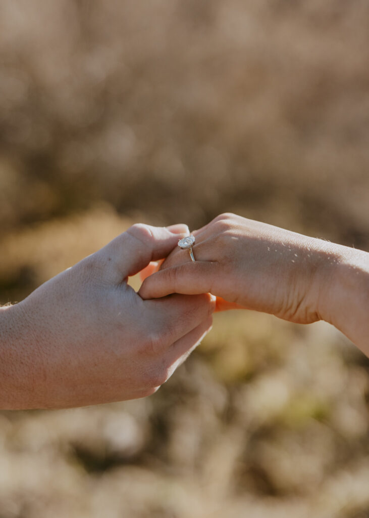 Eric and Diana | Zion National Park Proposal | Southern Utah Wedding and Elopement Photographer, Emily Dawn Photo